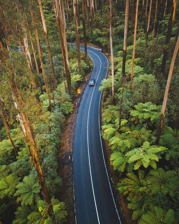 TOP 3 PLACES TO TAKE YOUR TRIKE IN VICTORIA